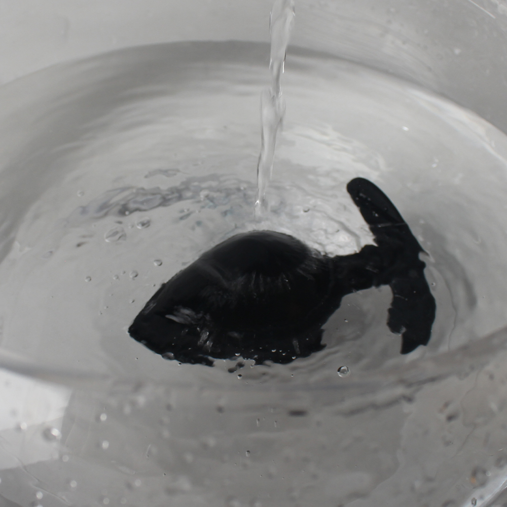 Analplug-Set aus Silikon